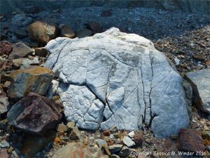 Boulder on the beach from the fault zone at Clarke Head, Nova Scotia, Canada.