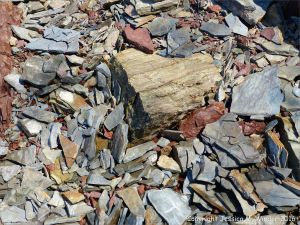 Broken rocks on the beach at Clarke Head, Nova Scotia, Canada.