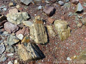Broken rocks on the beach at Clarke Head, Nova Scotia, Canada.