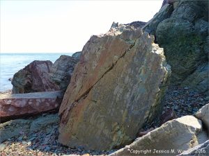 Boulder on the beach from the fault zone at Clarke Head, Nova Scotia, Canada.