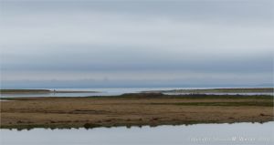 Coastal view of flat tidal water and salt marsh