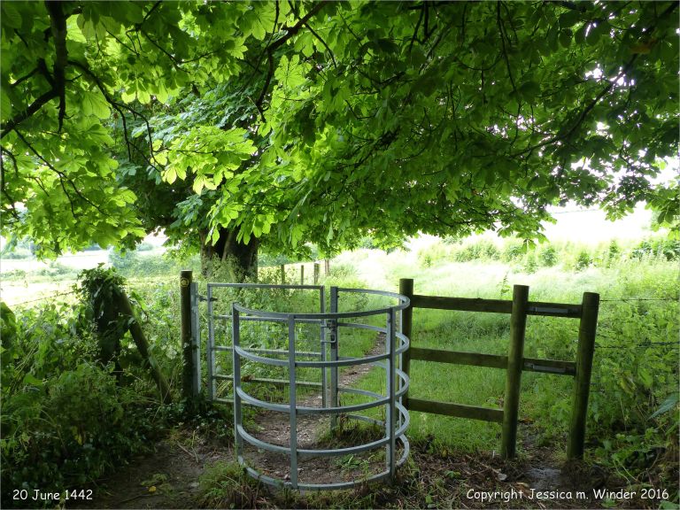 Rural view with stile in summer on the Cerne Valley Trail, Dorset, England.