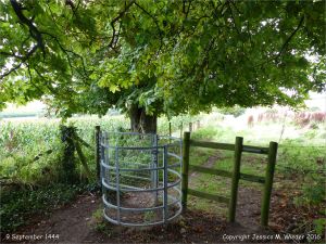 Rural view with stile in late summer on the Cerne Valley Trail, Dorset, England.