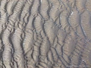 Natural patterns in the sand
