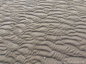 Natural patterns in the sand