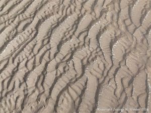 Natural patterns in the sand