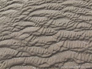 Natural patterns in the sand