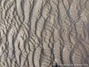 Natural patterns in the sand