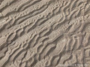 Natural patterns in the sand