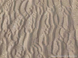 Natural patterns in the sand