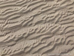 Natural patterns in the sand