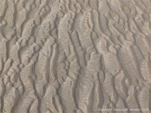 Natural patterns in the sand