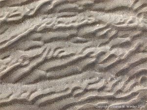 Natural patterns in the sand