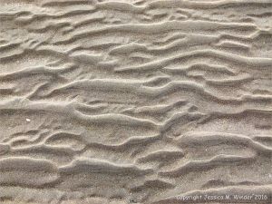 Natural patterns in the sand