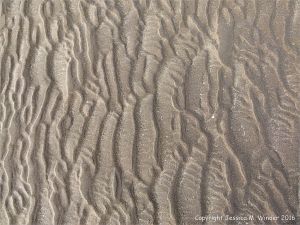 Natural patterns in the sand