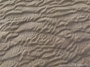 Natural patterns in the sand