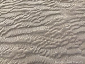 Natural patterns in the sand