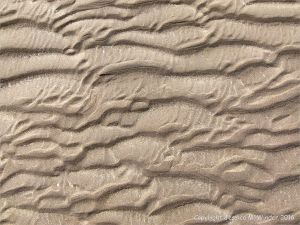 Natural patterns in the sand