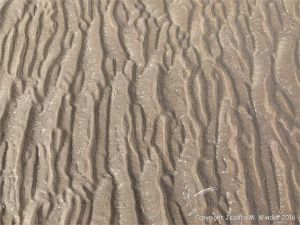 Natural patterns in the sand