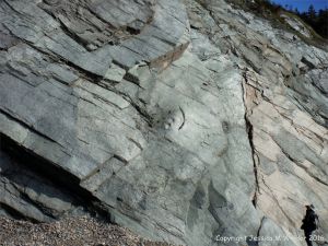 Pale gleaming phyllite rock face on the Cabot Trail in Cape Breton Island