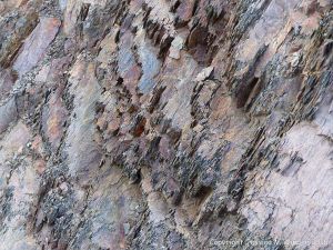Silurian rocks from Arisaig, Nova Scotia, Canada.