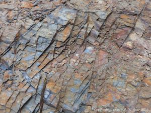 Silurian rocks from Arisaig, Nova Scotia, Canada.