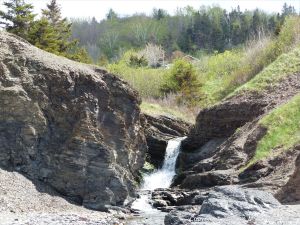 Silurian rocks from Arisaig, Nova Scotia, Canada.