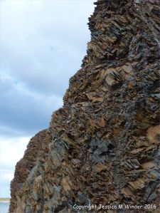 Silurian rocks from Arisaig, Nova Scotia, Canada.