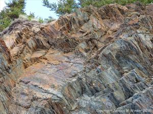 Silurian rocks from Arisaig, Nova Scotia, Canada.