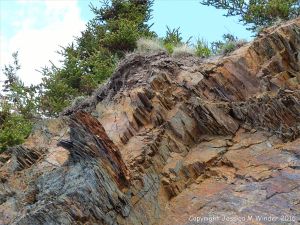 Silurian rocks from Arisaig, Nova Scotia, Canada.