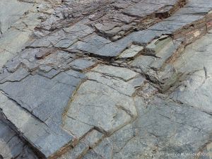 Phyllite rock face showing bedding planes or cleavage surfaces on the Cabot Trail in Cape Breton Island