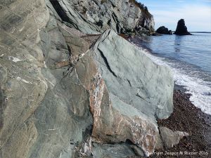Phyllite rock with veining on the Cabot Trail in Cape Breton Island
