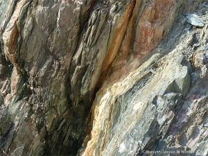 Close-up of cross-section through finely layered phyllite rock at Presqu'ile