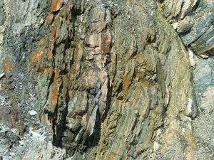 Vertical strata in phyllite rock in Cape Breton