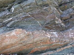 Close-up of cross-section through finely layered phyllite rock at Presqu'ile