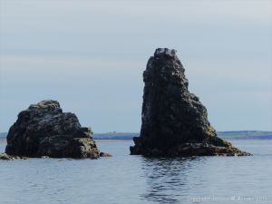 Basalt sea stack called Pillar Rock on Cape Breton Island
