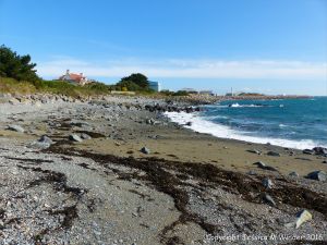 View of the shore at Spur Bay, Guernsey, Channel Islands, looking north.