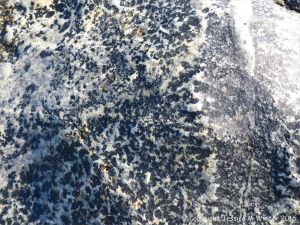 Close-up of St Peter Port Gabbro at Spur Bay on the Channel Island of Guernsey