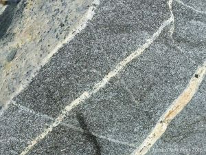 Close-up of St Peter Port Gabbro with veins at Spur Bay on the Channel Island of Guernsey