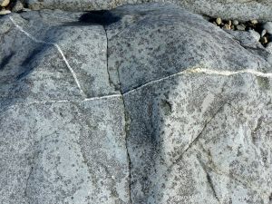 Close-up of St Peter Port Gabbro at Spur Bay on the Channel Island of Guernsey