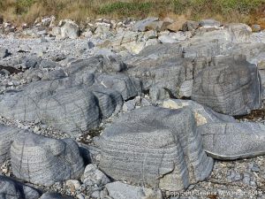 Outcrops of St Peter Port Gabbro on the shore at Spur Bay in the Channel Island of Guernsey, showing crystals aligned into bands.