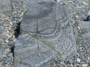 Outcrop of St Peter Port Gabbro on the shore at Spur Bay in the Channel Island of Guernsey, showing crystals aligned into bands.