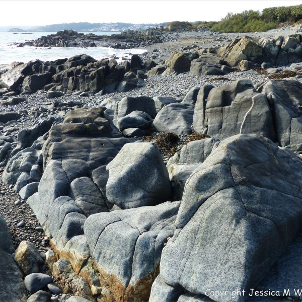 Outcrops of St Peter Port Gabbro on the shore at Spur Bay in the Channel Island of Guernsey, showing crystals aligned into bands.
