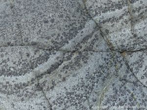 Macro of St Peter Port Gabbro on the shore at Spur Bay in the Channel Island of Guernsey, showing crystals aligned into bands.