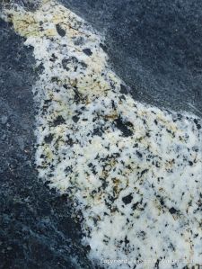 Macro of St Peter Port Gabbro also known as hornblende gabbro