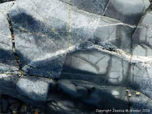 Outcrop of St Peter Port Gabbro with veins at Spur Bay on the Channel Island of Guernsey