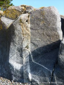Outcrop of St Peter Port Gabbro with veins at Spur Bay on the Channel Island of Guernsey