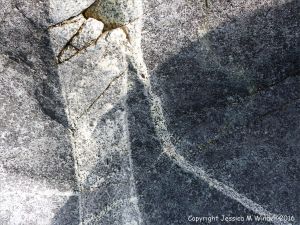 Outcrop of St Peter Port Gabbro with veins at Spur Bay on the Channel Island of Guernsey