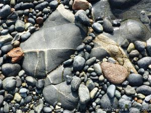 Outcrop of St Peter Port Gabbro with veins at Spur Bay on the Channel Island of Guernsey