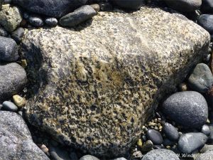 Crystal texture and pattern in St Peter Port Gabbro